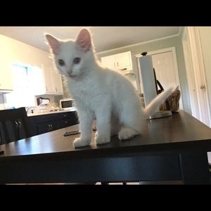 Meet your Posher, Kasey